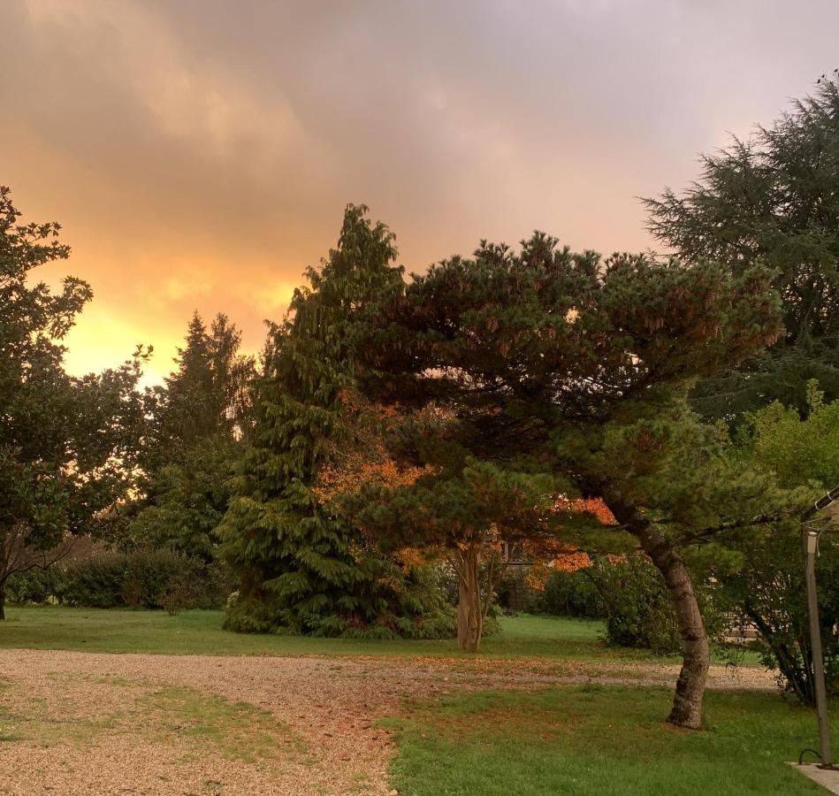 L'Ocean 20 Villa Queyrac Dış mekan fotoğraf