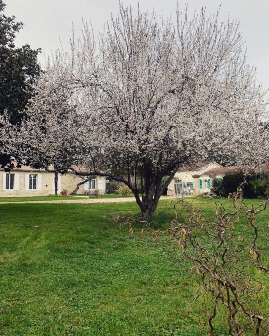 L'Ocean 20 Villa Queyrac Dış mekan fotoğraf
